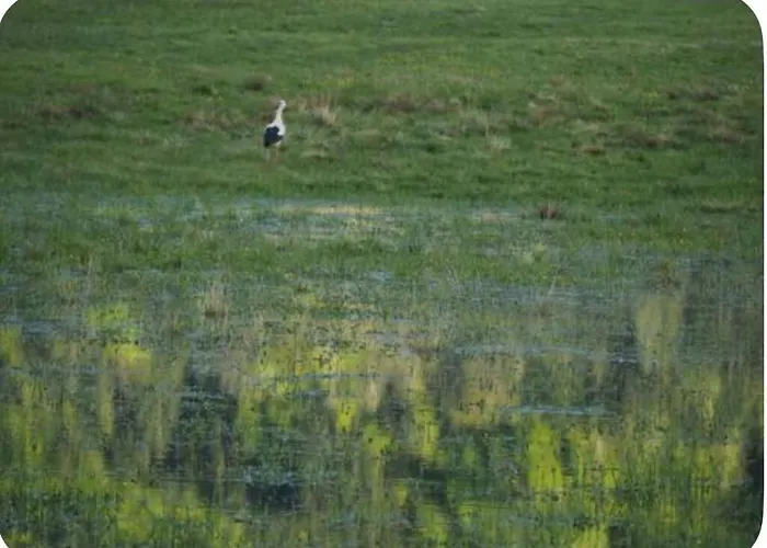 Lägenhet Rosi Mit Balkon In Seenaehe Steindorf am Ossiacher See